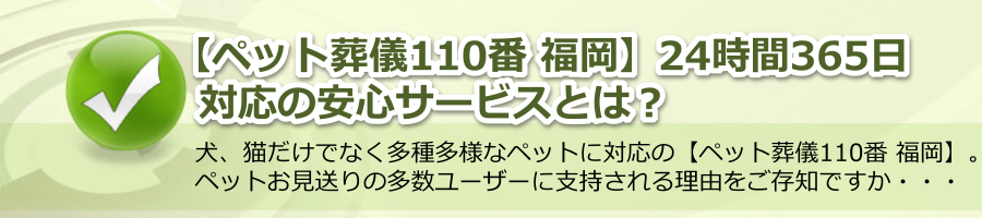 【ペット葬儀110番 福岡】24時間365日対応の安心サービス